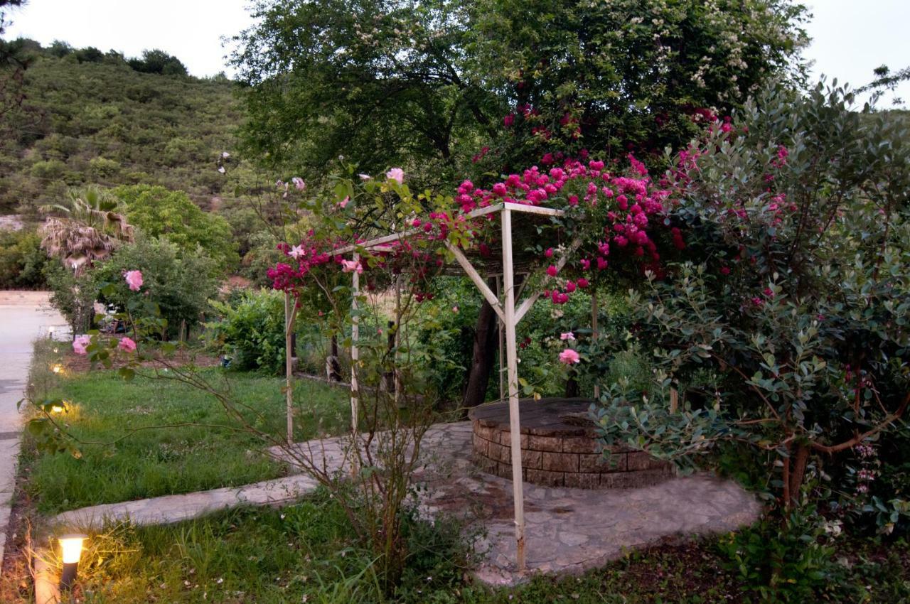 Agva Nehir Evi - Adult Only Ağva Exterior foto